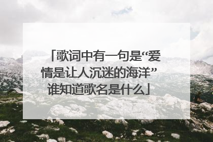 歌词中有一句是“爱情是让人沉迷的海洋”谁知道歌名是什么