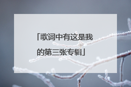 歌词中有这是我的第三张专辑