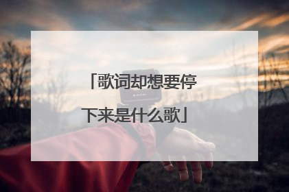 歌词却想要停下来是什么歌
