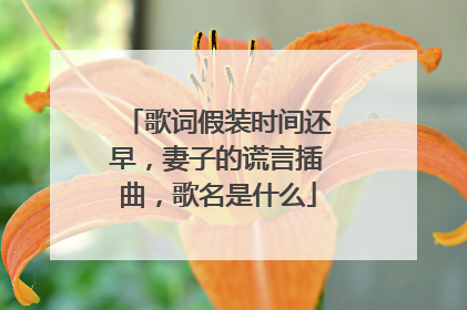 歌词假装时间还早，妻子的谎言插曲，歌名是什么