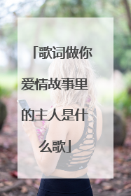 歌词做你爱情故事里的主人是什么歌