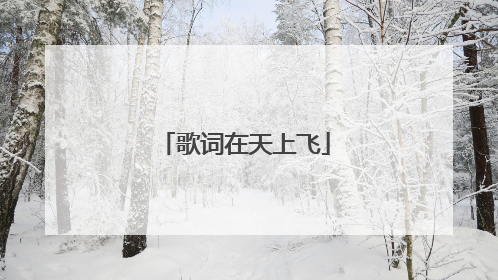 歌词在天上飞
