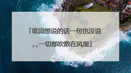 歌词想说的话一句也没说,,一切都吹散在风里