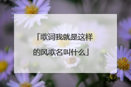 歌词我就是这样的风歌名叫什么
