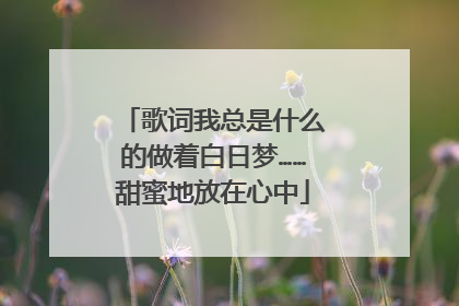 歌词我总是什么的做着白日梦……甜蜜地放在心中
