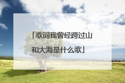 歌词我曾经跨过山和大海是什么歌