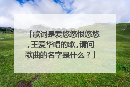 歌词是爱悠悠恨悠悠,王爱华唱的歌,请问歌曲的名字是什么?