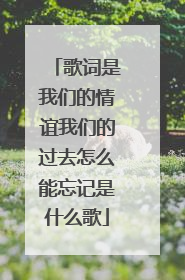 歌词是我们的情谊我们的过去怎么能忘记是什么歌