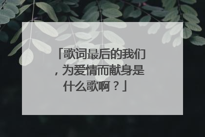 歌词最后的我们，为爱情而献身是什么歌啊？