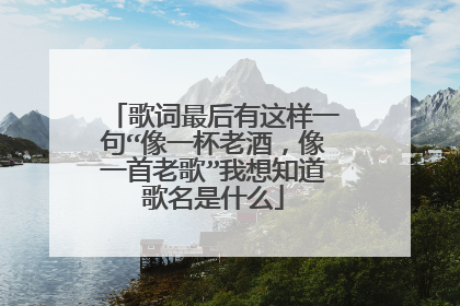 歌词最后有这样一句“像一杯老酒，像一首老歌”我想知道歌名是什么