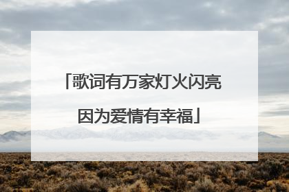 歌词有万家灯火闪亮 因为爱情有幸福