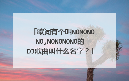 歌词有个叫NONONONO,NONONONO的DJ歌曲叫什么名字？