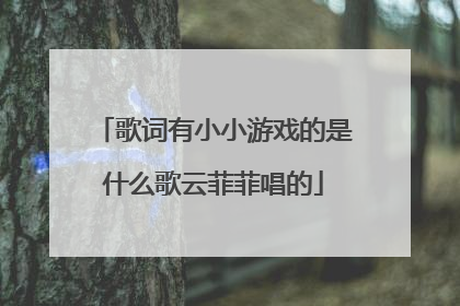 歌词有小小游戏的是什么歌云菲菲唱的