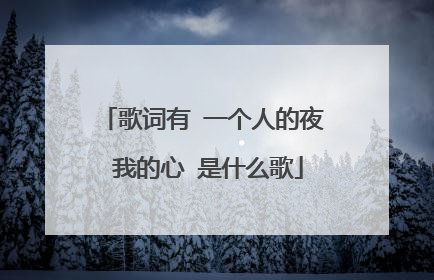 歌词有 一个人的夜 我的心 是什么歌