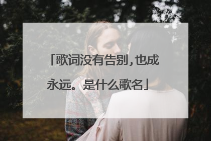 歌词没有告别,也成永远。是什么歌名