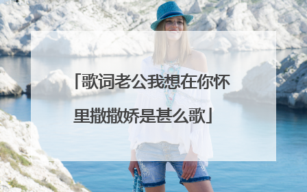 歌词老公我想在你怀里撒撒娇是甚么歌