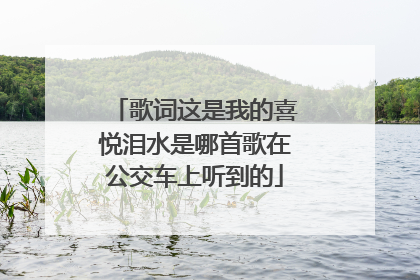歌词这是我的喜悦泪水是哪首歌在公交车上听到的