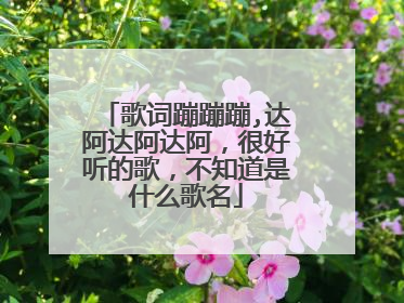 歌词蹦蹦蹦,达阿达阿达阿,很好听的歌,不知道是什么歌名