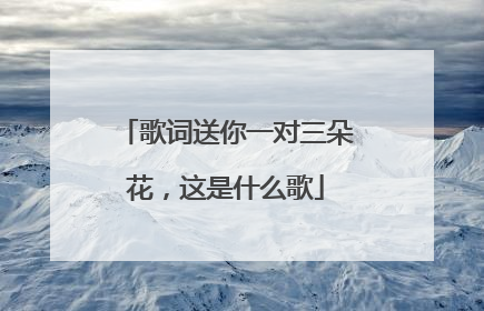 歌词送你一对三朵花，这是什么歌