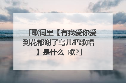 歌词里【有我爱你爱到花都谢了鸟儿把歌唱】是什么 歌?