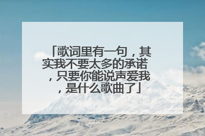 歌词里有一句，其实我不要太多的承诺，只要你能说声爱我，是什么歌曲了