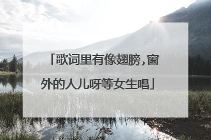 歌词里有像翅膀,窗外的人儿呀等女生唱