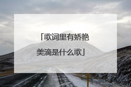 歌词里有娇艳美滴是什么歌