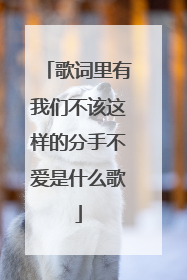 歌词里有我们不该这样的分手不爱是什么歌