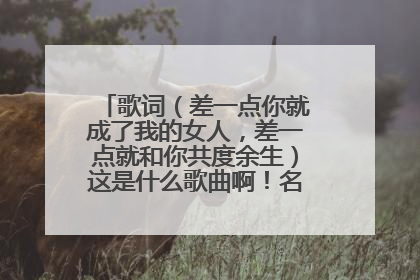 歌词(差一点你就成了我的女人,差一点就和你共度余生)这是什么歌曲啊!名字是什么?