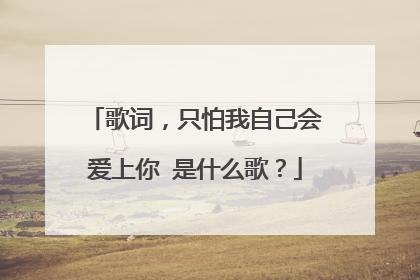 歌词，只怕我自己会爱上你 是什么歌？
