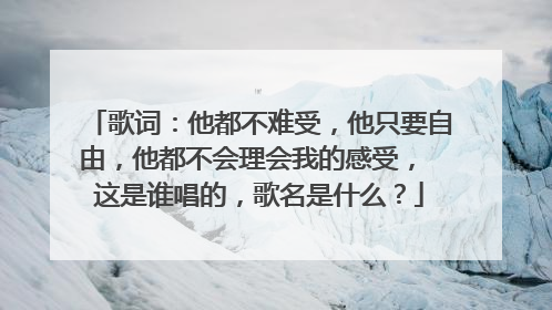 歌词：他都不难受，他只要自由，他都不会理会我的感受， 这是谁唱的，歌名是什么？