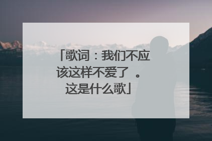 歌词:我们不应该这样不爱了 。这是什么歌