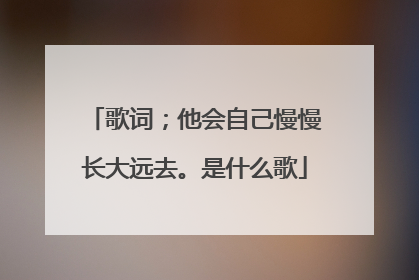 歌词；他会自己慢慢长大远去。是什么歌