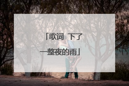 歌词 下了一整夜的雨