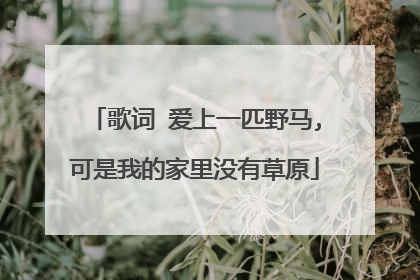 歌词 爱上一匹野马,可是我的家里没有草原