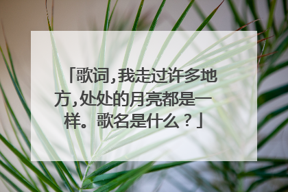 歌词,我走过许多地方,处处的月亮都是一样。歌名是什么？