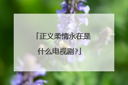 正义柔情永在是什么电视剧?
