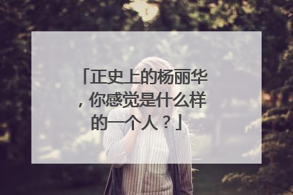 正史上的杨丽华,你感觉是什么样的一个人?