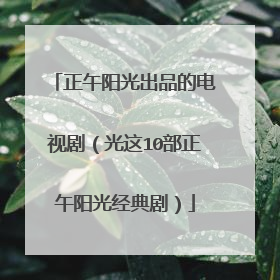 正午阳光出品的电视剧（光这10部正午阳光经典剧）