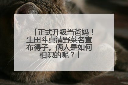 正式升级当爸妈!生田斗真清野菜名宣布得子。俩人是如何相识的呢?