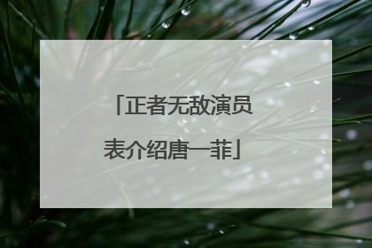 正者无敌演员表介绍唐一菲