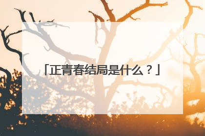 正青春结局是什么?