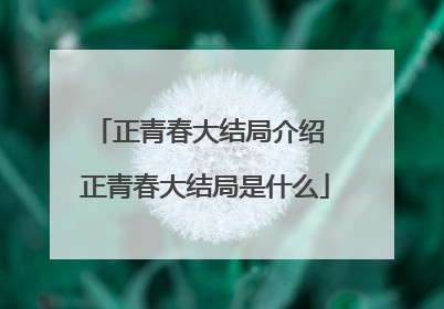 正青春大结局介绍 正青春大结局是什么