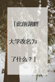 此前湖畔大学改名为了什么？