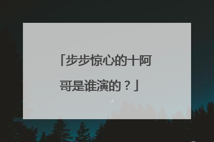 步步惊心的十阿哥是谁演的？