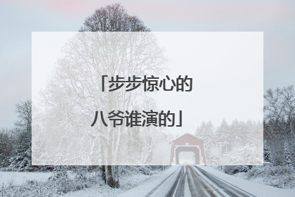 步步惊心的八爷谁演的