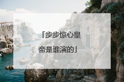 步步惊心皇帝是谁演的