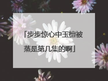 步步惊心中玉檀被蒸是第几集的啊