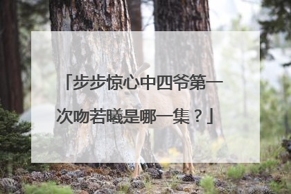 步步惊心中四爷第一次吻若曦是哪一集？