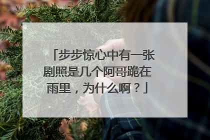 步步惊心中有一张剧照是几个阿哥跪在雨里,为什么啊?